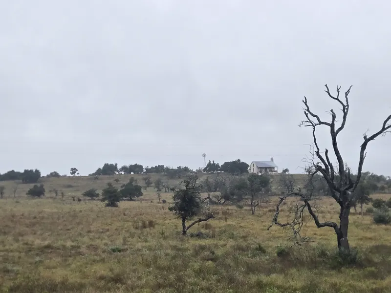 A wide pasture with a distant farmhouse and a bare dead tree.