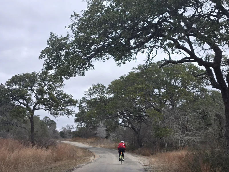 A rider in a red jacket on a winding road under big live oaks.