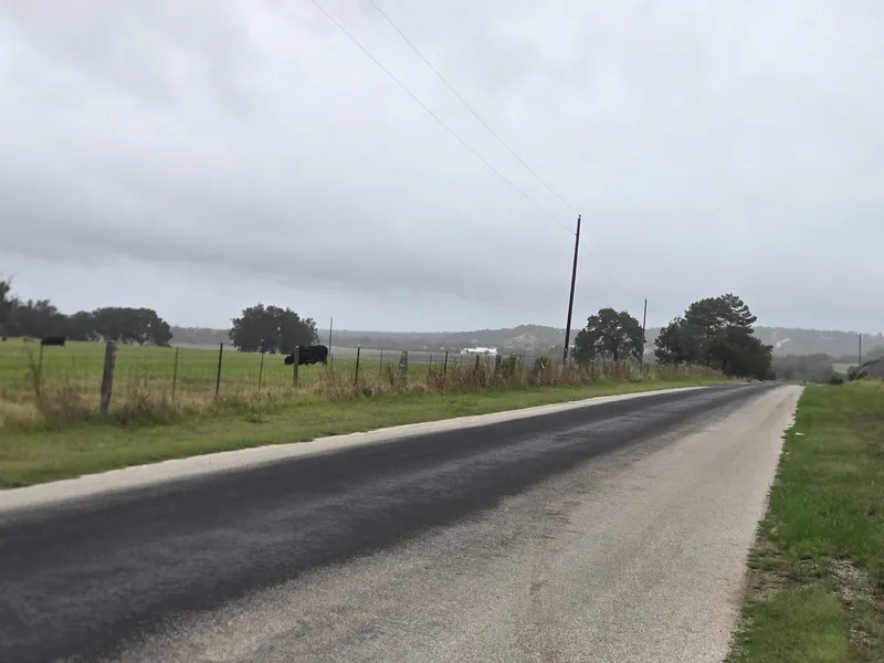 A quiet rural road past a pasture with cattle.